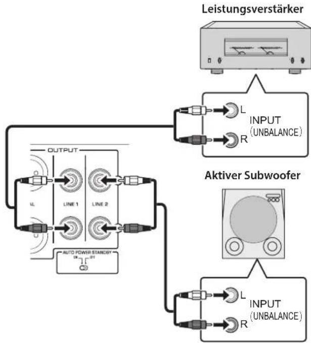 YAMAHA C5000 - Leistungsverträger und aktiven Subwoofer anschließen - 2