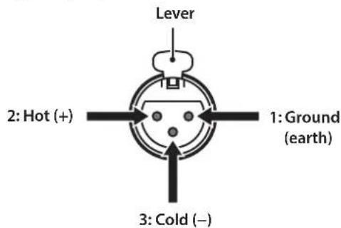YAMAHA C5000 - XLR connector (male)XLR jack (female) Note - 4