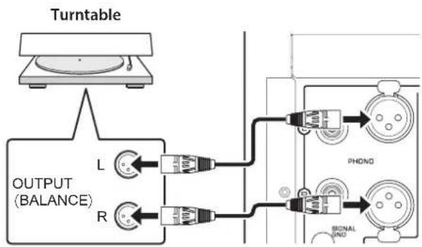 YAMAHA C5000 - Connecting a turntable - 1
