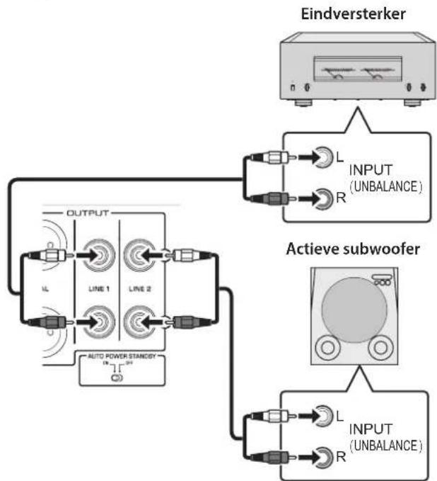 YAMAHA C5000 - Een eindversterker en actieve subwoofer aansluiten - 2