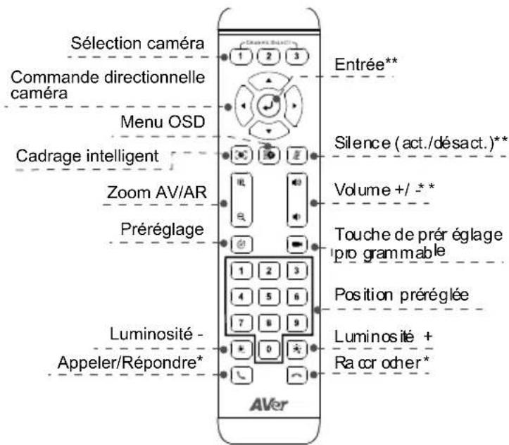 AVer CAM520 Pro - Télécommande - 1