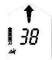 Black Diamond Guide BT - Grof zoeken - 3