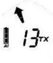 Black Diamond Guide BT - TX600-modus - 2