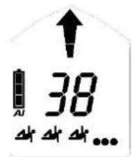 Black Diamond Guide BT - Signalsuche - 8