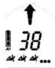 Black Diamond Guide BT - Signal zoeken - 8