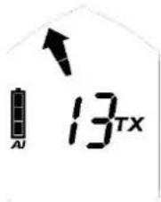 Black Diamond Guide BT - TX600-Modus - 2