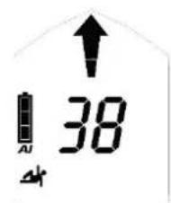 Black Diamond Guide BT - Coarse search - 3