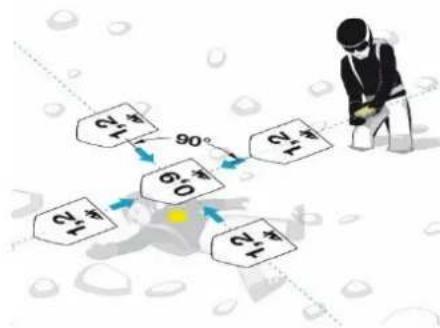 Black Diamond Guide BT - Fine search - 2