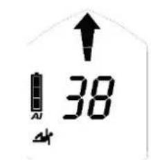 Black Diamond Guide BT - Grobsuche - 3