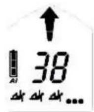 Black Diamond Guide BT - Iskanje signala - 8