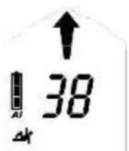 Black Diamond Guide BT - Signal zoeken - 5