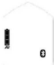 Black Diamond Guide BT - 注意 - 1