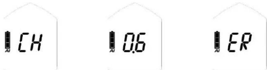 Black Diamond Guide BT - Regular group check display readings - 1