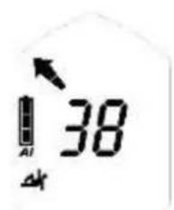 Black Diamond Guide BT - Grof zoeken - 2