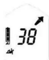 Black Diamond Guide BT - Grof zoeken - 4