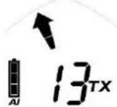 Black Diamond Guide BT - TX600-tila - 2