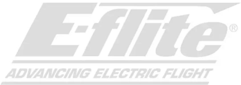 E-flite A10 Thunderbolt II - Istruzioni del RAEE per lo smaltimento da parte di utenti dell'Unione Europea - 2