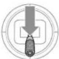 E-flite A10 Thunderbolt II - Rudder - 1