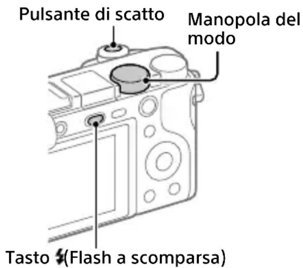 SONY Alpha a1400 - Ripresa di fermi imagine - 1