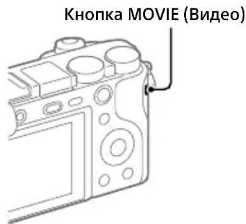SONY Alpha a1400 - ΦOTOCbEMKa - 2