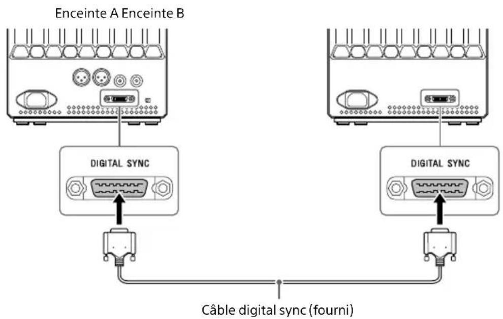 SONY SAZ1 - Raccordement 1: Raccordement des enceintes gauche et droite - 1