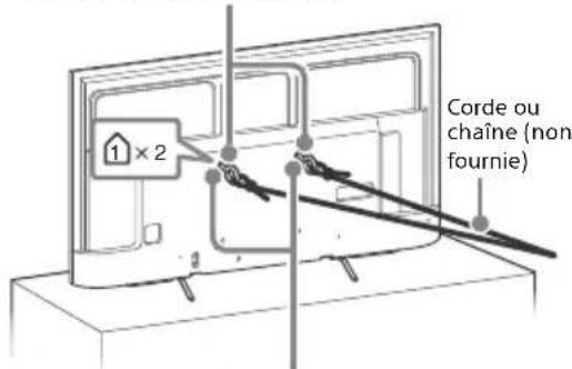 1 × 2 Corde ou chaîne (non fournie)