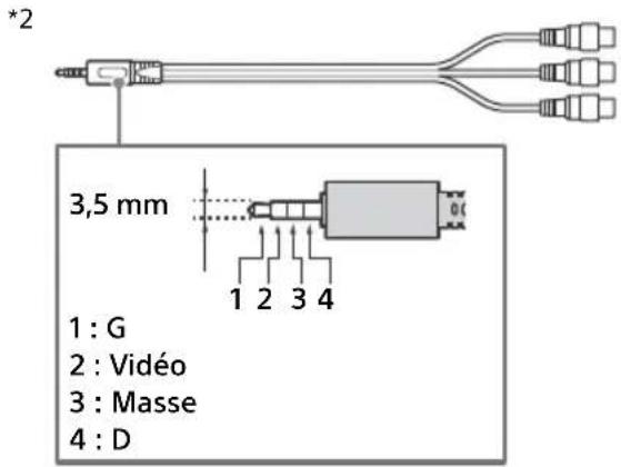 *2 3,5 mm 1 : G 2 : Vidéo 3 : Masse 4 : D