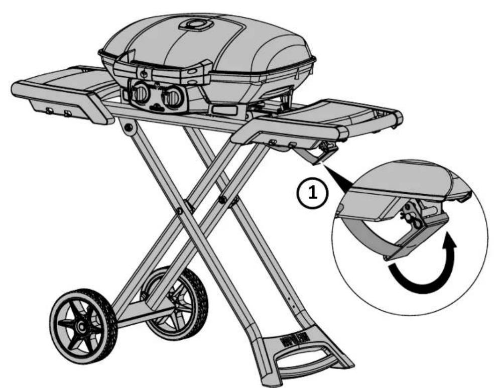 Napoleon TravelQ PRO285X - Gassbeholder - 5