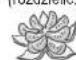 PANASONIC MXS401 - Przygotowanie - 1