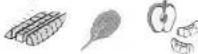 PANASONIC MXS401 - Preparation - 1