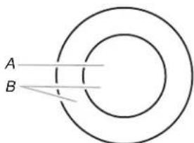WHIRLPOOL WCE77US0HS - Elemento de circuito doble/triple (en algunos modelos) - 2
