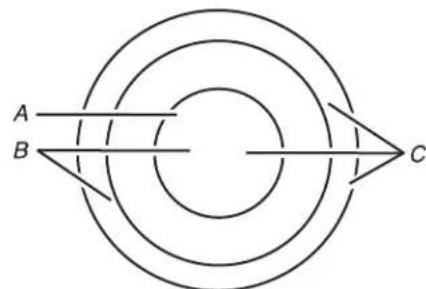 WHIRLPOOL WCE55US6HB - Dual/Triple Element - 1