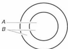 WHIRLPOOL WCE55US6HB - Elemento doble - 1