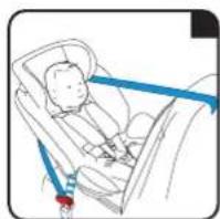 X-Adventure Quickfix - Installeren met de 3-punts gordel - 6