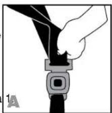 BRITAX Roundabout 50 - Utiliser la pince de verrouillage - 1