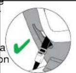 BRITAX Roundabout 50 - Positions de la ceinture de sécurité du vehicule - 3