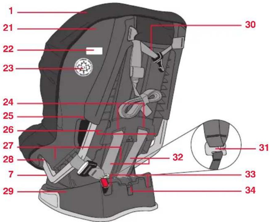 BRITAX Marathon 65 - Caracteristiques du siège pour infant - 2