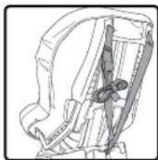 BRITAX Marathon 65 - Attacher le Versa-Tether - 1