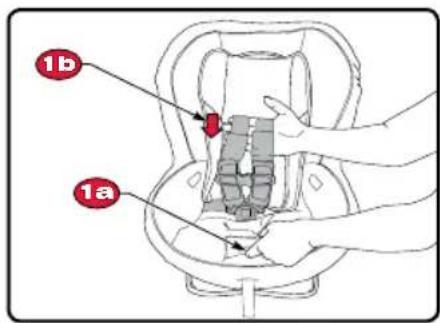 BRITAX Marathon 65 - Adjusting the Harness Height - 1