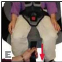 BRITAX Boulevard - Important checklist before tightening the harness: - 1
