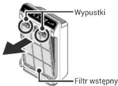 Wypustki Filtr wstępny
