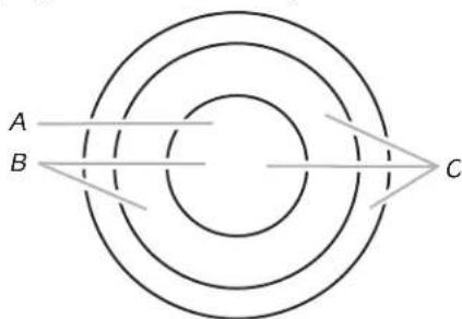 WHIRLPOOL WCE77US6HB - Élement triple (sur certains modèles) - 1