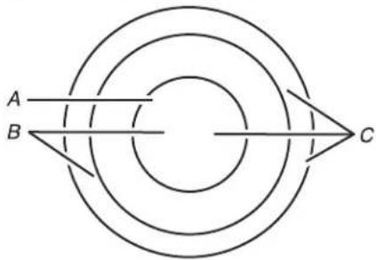 WHIRLPOOL WCE77US0HB - Elemento doble/triple - 1