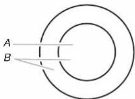 WHIRLPOOL WCE77US0HB - Elemento de circuito doble/triple (en algunos modelos) - 2