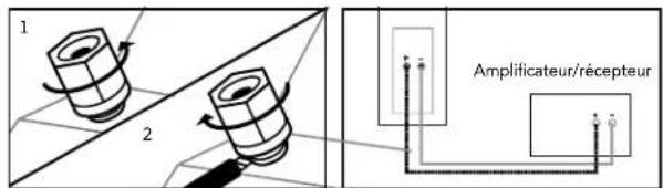 DEFINITIVE TECHNOLOGY BP9000 - Brancher les enceintes - 2