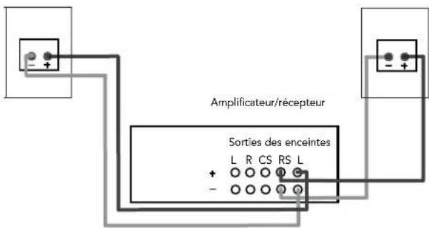DEFINITIVE TECHNOLOGY BP9000 - Brancher les enceintes - 3