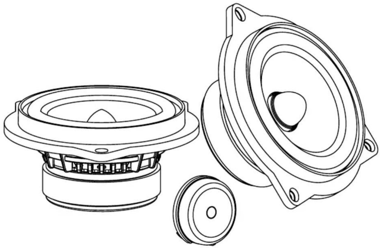 FOCAL IFBMWS - 1