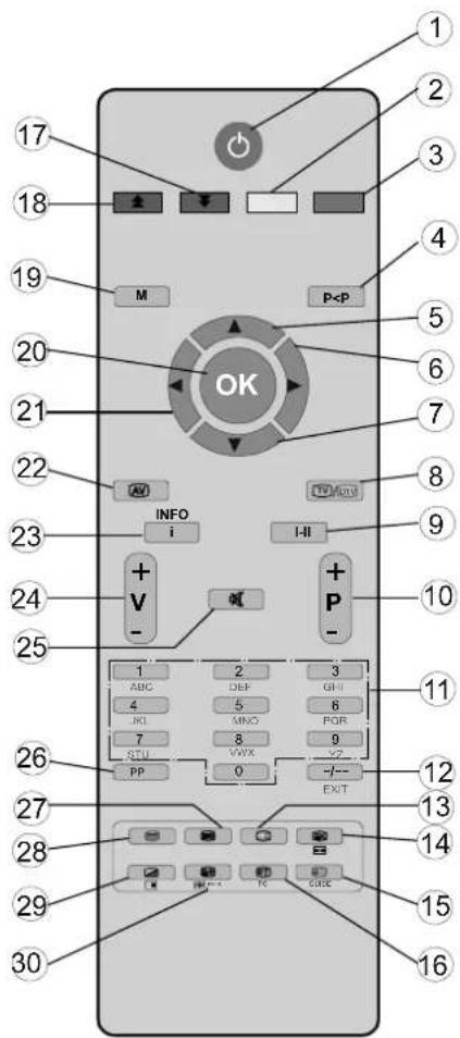 TECHWOOD VL19TV1001 - Overview of the Remote Control - 1