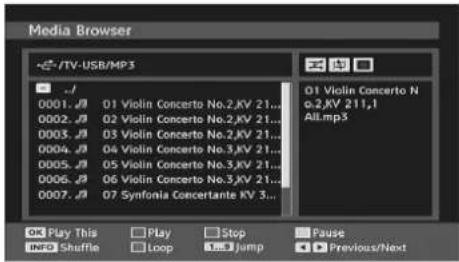 TECHWOOD VL19TV1001 - Playing MP3 Files - 1