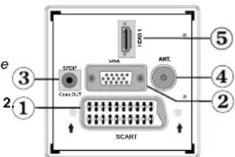 TECHWOOD VL19TV1001 - Affi chage des branchements – Connecteurs arrière - 1